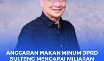 Anggota DPRD Provinsi Sulteng dari Fraksi NasDem, Sony Tandra, S.T