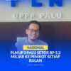 Manager PT PLN UP3 Palu, Ansar