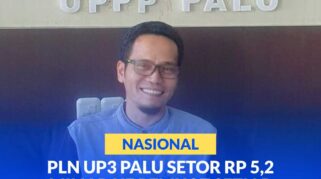 Manager PT PLN UP3 Palu, Ansar