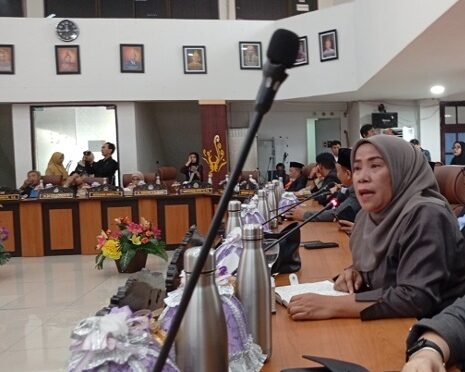 Anggota DPRD Palu, Ulfa Saleh, membeberkan terkait RS di palu yang meminta biaya visum saat rapat paripurna. Foto: Firmansyah