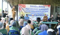 Gubernur Sulawesi Tengah Anwar Hafid saat menghadiri Panen Raya Budidaya Padi Organik Al-Khairaat dan Sarasehan Petani untuk Negeri di Desa Walatana, Selasa (18/8/2026).