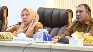Wakil Gubernur Sulteng, Reny A Lamadjido.