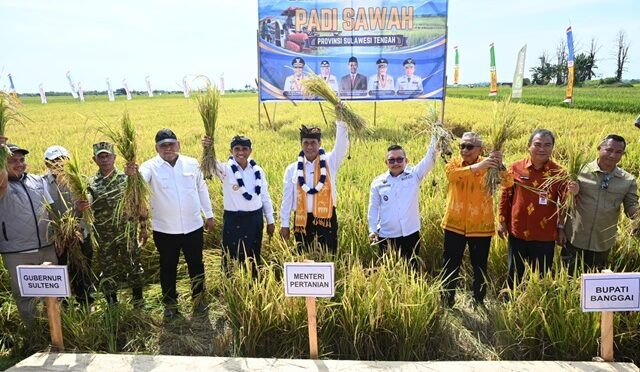 Berani Panen Raya yang dihadiri Menteri Pertanian, Dr. Ir. H. Andi Amran Sulaiman, M.P.