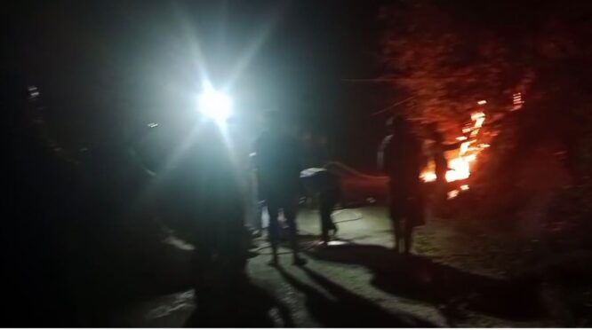Karhutla di Lore Utara yang Sempat Ancam Permukiman Warga